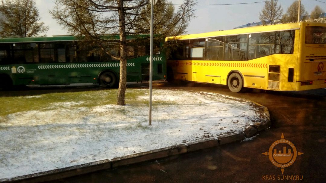 ДТП двух автобусов в Солнечном