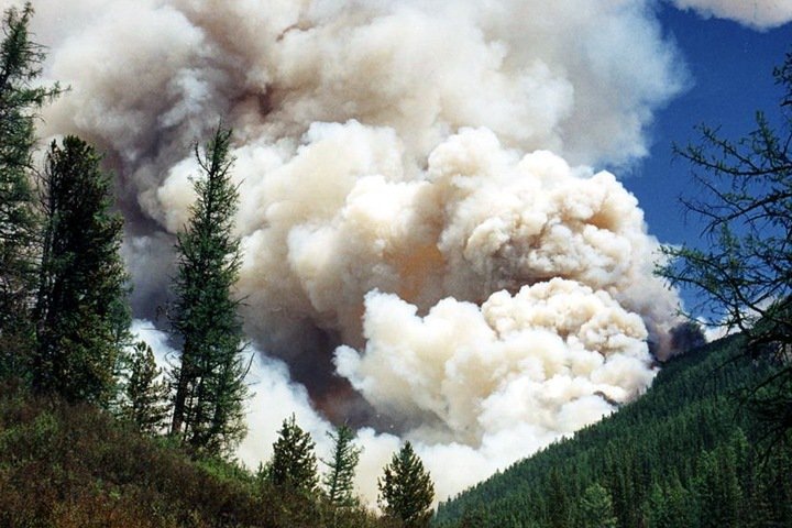 Лесные пожары в Сибири 2019