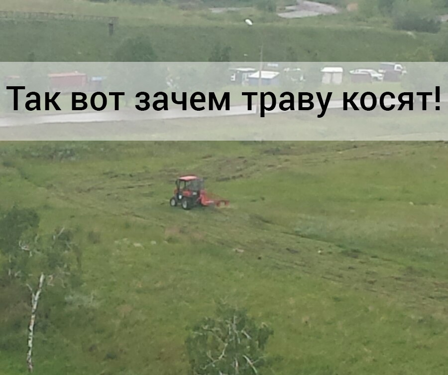 Подготовка строительства парка в Солнечном после звонка Путину