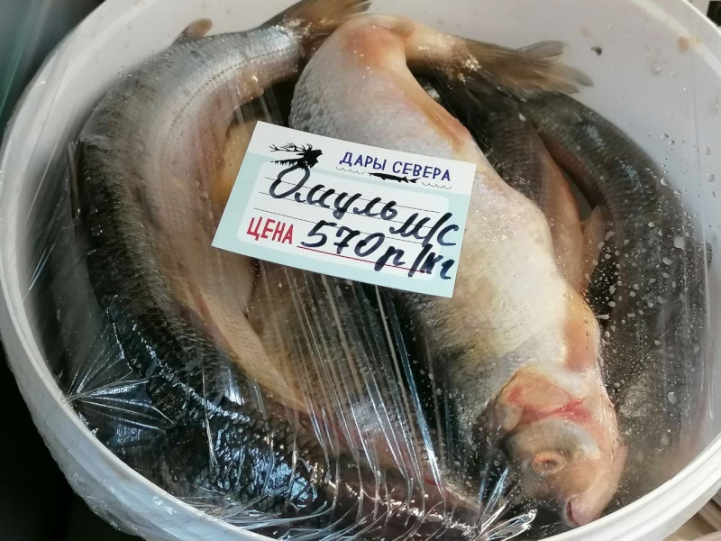 Магазин Северной Рыбы В Красноярске